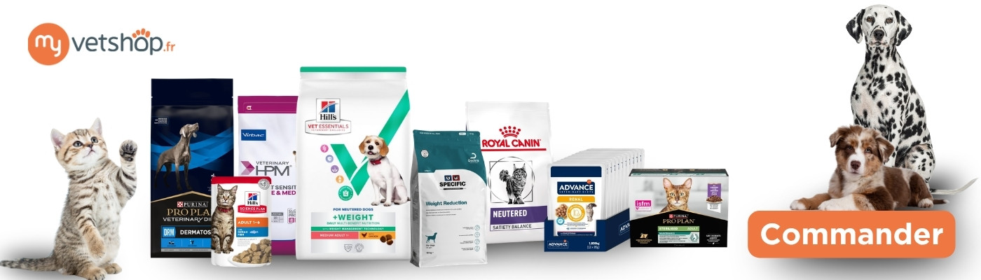 Alimentation vétérinaire pour bien nourrir son chien au quotidien
